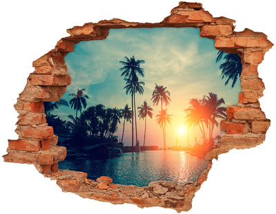 Hole in the wall sticker Sunset palm trees