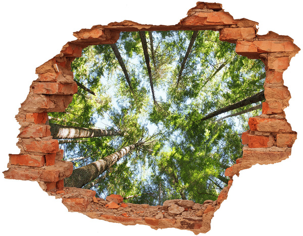 Hole wall sticker View of the forest with blue sky