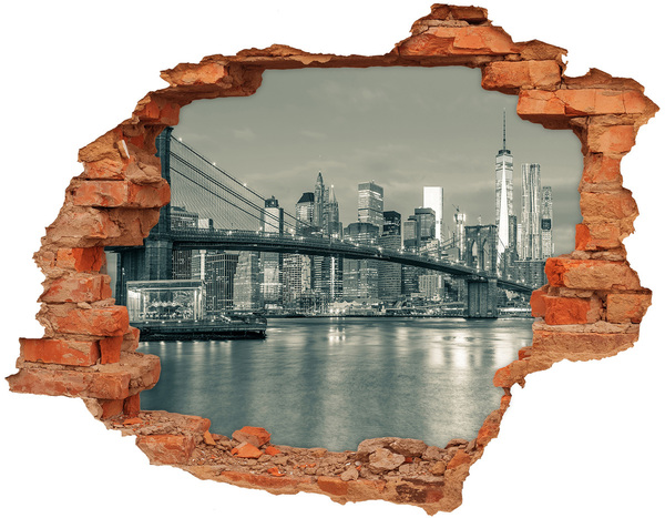 Hole wall sticker View of New York