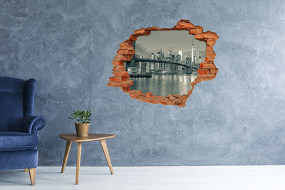 Hole wall sticker View of New York