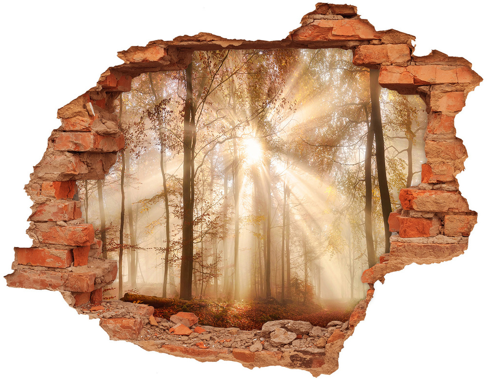 Hole wall sticker Fog in the Forest Autumn