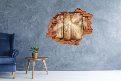 Hole wall sticker Fog in the Forest Autumn