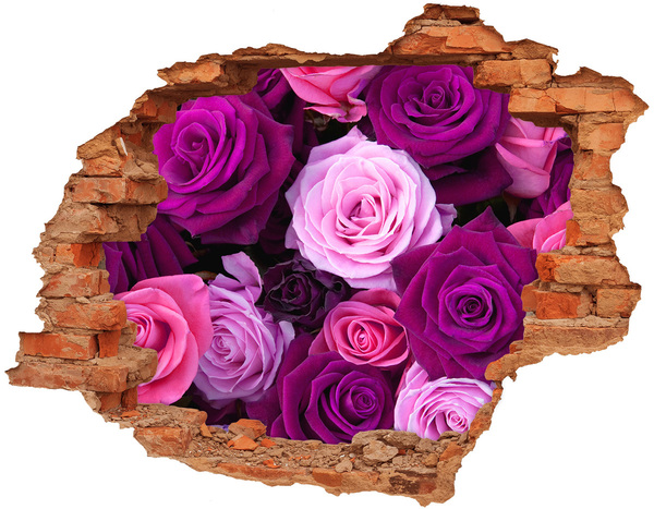 Hole in the wall decal Roses