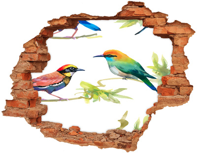 Hole in the wall sticker Exotic birds