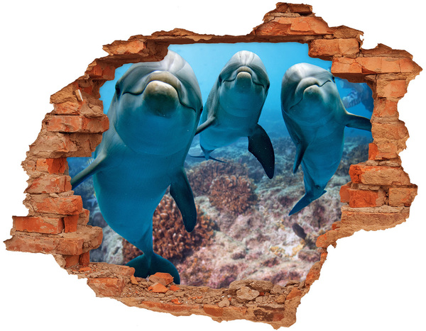 Hole in the wall decal Dolphins in a coral reef