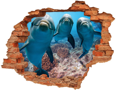 Hole in the wall decal Dolphins in a coral reef