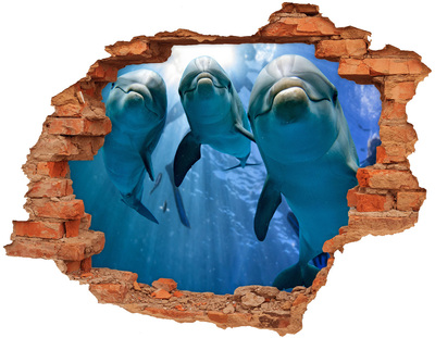 Hole in the wall decal Underwater world with dolphins
