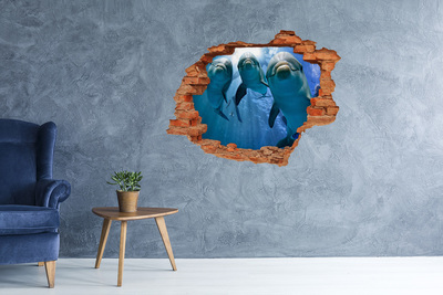 Hole in the wall decal Underwater world with dolphins