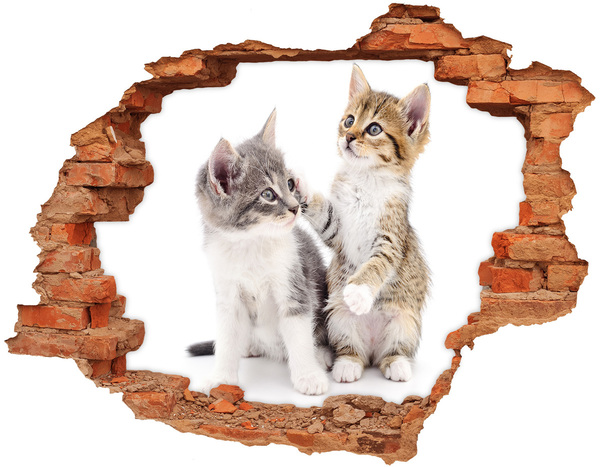 3D wall hole wallpaper Two little cats