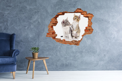 3D wall hole wallpaper Two little cats