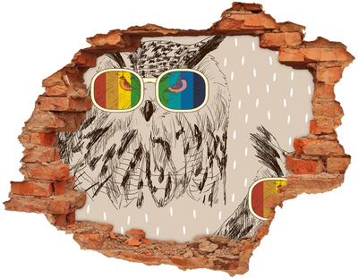3D wall hole wallpaper Owl's Eye in a Hole in the Wall