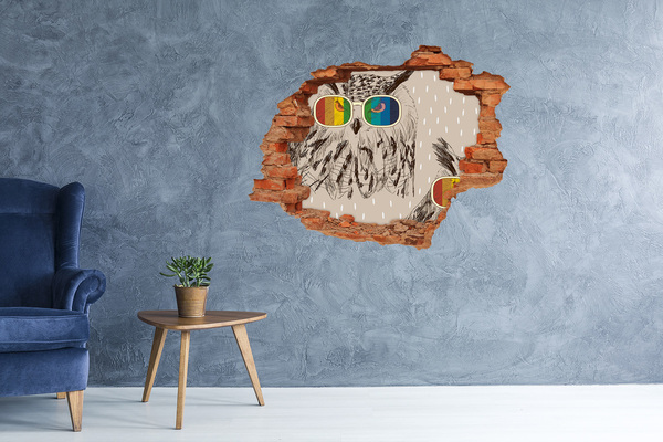 3D wall hole wallpaper Owl's Eye in a Hole in the Wall