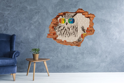 3D wall hole wallpaper Owl's Eye in a Hole in the Wall