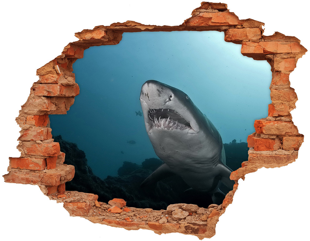 Hole wall sticker Large shark