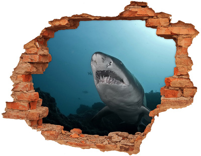 Hole wall sticker Shark in the underwater world