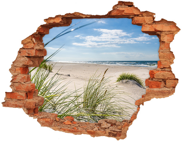 Hole in the wall decal View of the beach