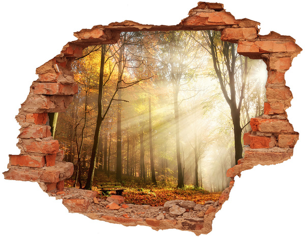 Hole wall sticker Golden forest in the sun's rays
