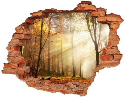 Hole wall sticker Golden forest in the sun's rays