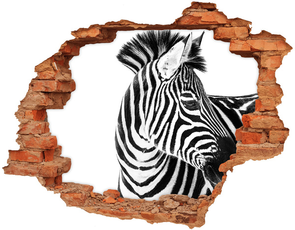 Hole in the wall decal Zebra in the snow