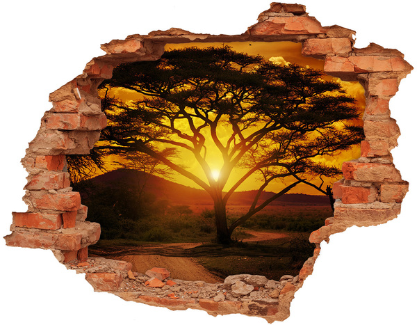 3D wall hole wallpaper Sunset in the African savannah