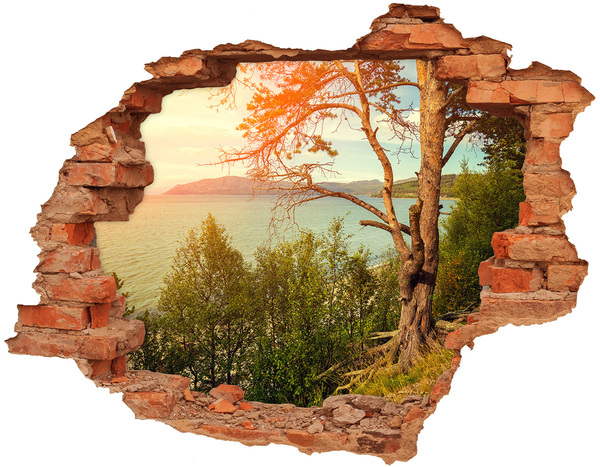 3D wall hole wallpaper View of the lake with a tree