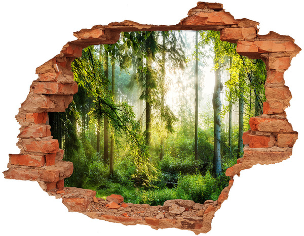 Hole in the wall decal A forest oasis of peace
