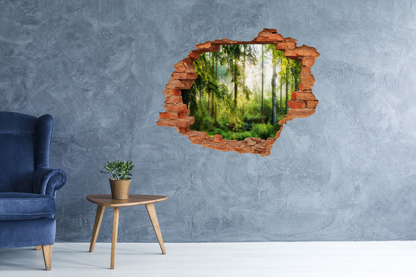 Hole in the wall decal Morning sun forest