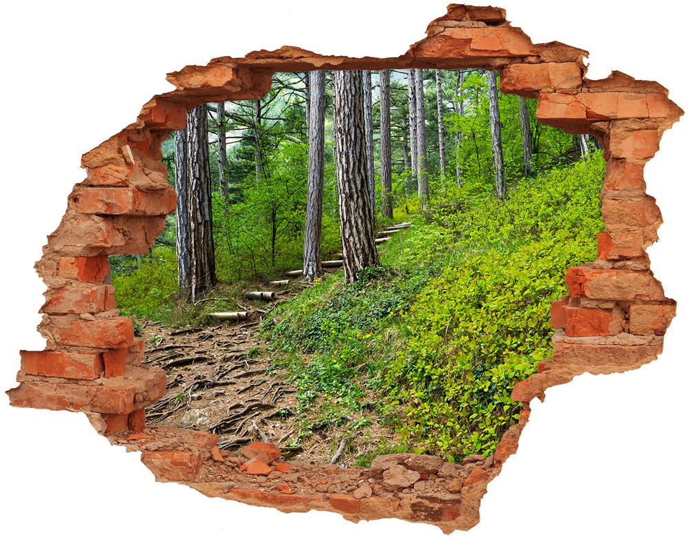 Hole wall sticker Forest track