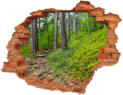 Hole wall sticker Hole in the Wall Forest Path
