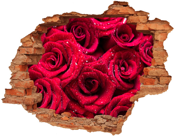 3D wall hole Drops on roses