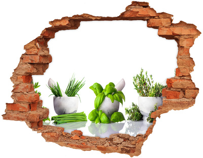 3D wall hole Green garden with herbs