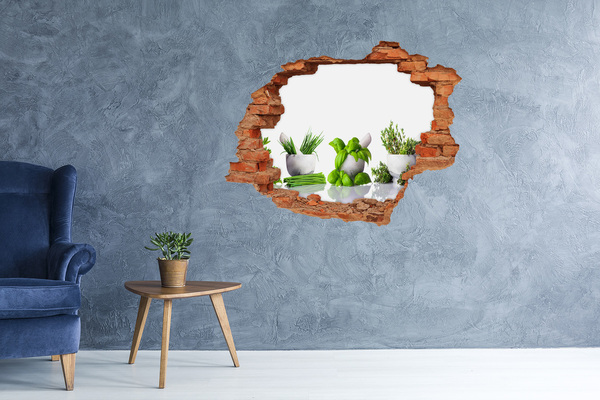3D wall hole Green garden with herbs