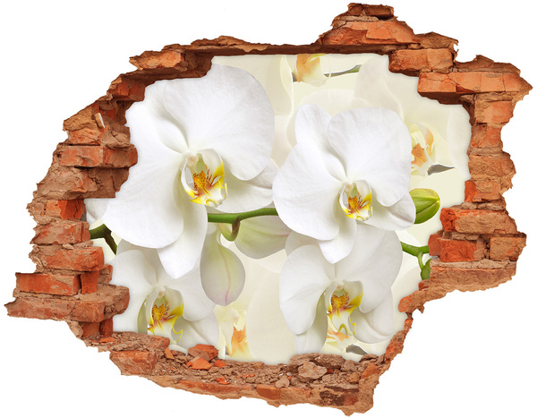 Hole wall sticker Orchids in concrete