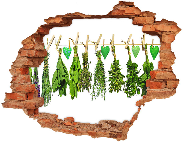 Hole in the wall sticker Herbs on a string