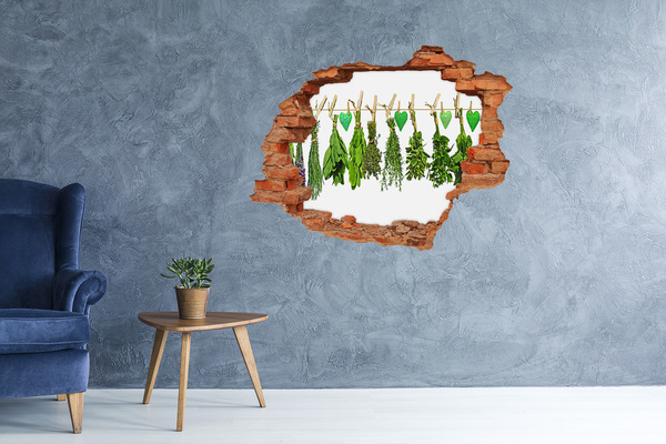 Hole in the wall sticker Herbs on a string