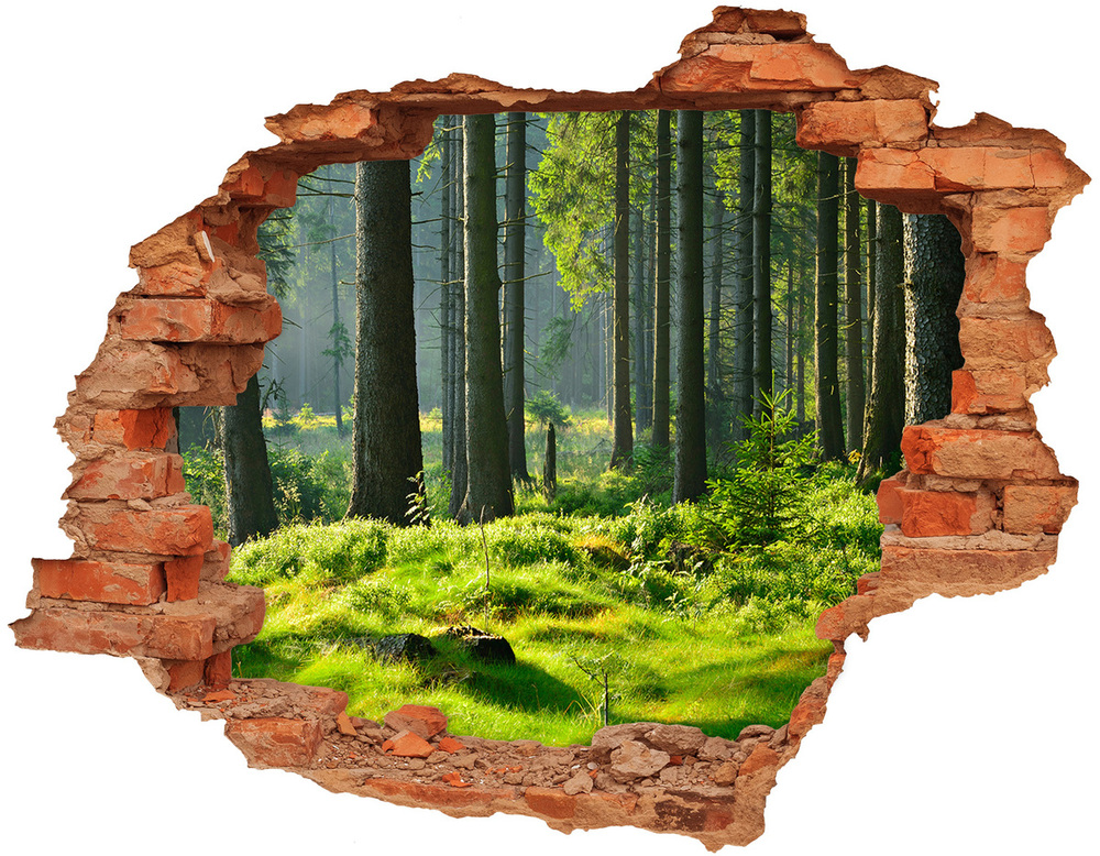 3D wall hole wallpaper Spruce forest