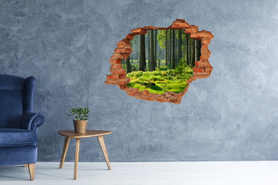 3D wall hole wallpaper Green forest in the sun's rays