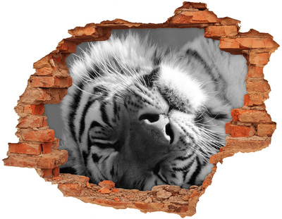 3D wall hole wallpaper The face of the tiger