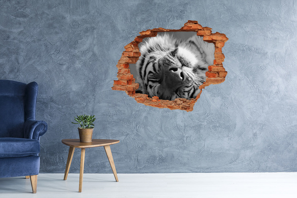 3D wall hole wallpaper The face of the tiger