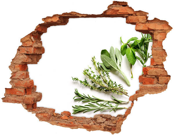 Hole in the wall decal Herb garden in concrete