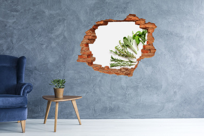 Hole in the wall decal Herb garden in concrete