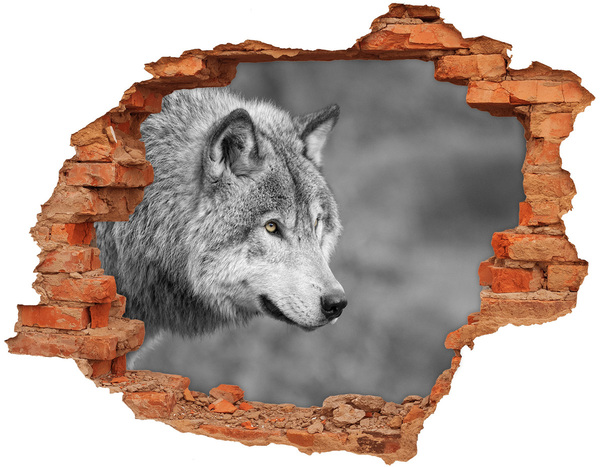 3D wall hole wallpaper Wolf in a Hole in the Wall