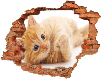 Hole in the wall sticker Red Cat