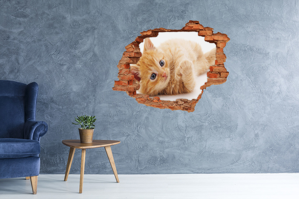 Hole in the wall sticker Red Cat