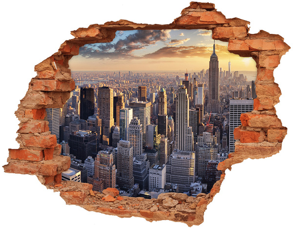 3D wall hole View of New York