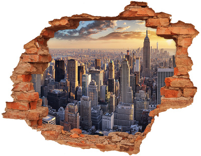 3D wall hole View of New York