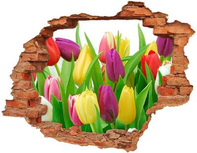 Hole wall sticker Colorful tulips