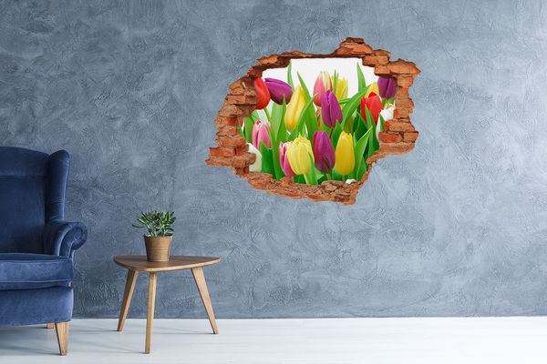 Hole wall sticker Colorful tulips