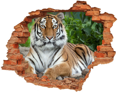 Hole in the wall decal Tiger in its natural habitat
