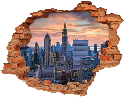 Hole in the wall decal View of New York